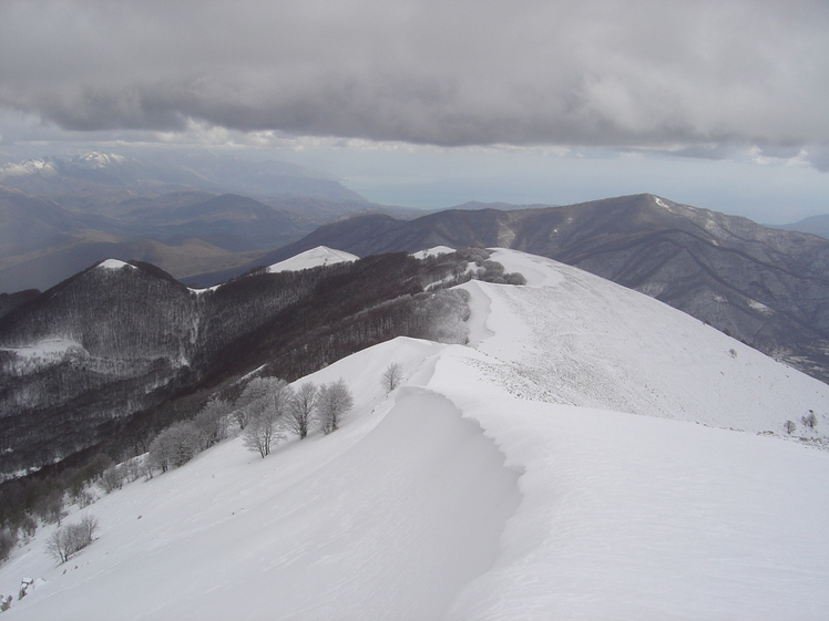 mount fajatella, Cervati