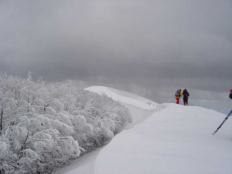 mount fajatella, Cervati