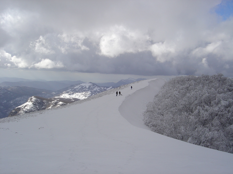 mount fajatella, Cervati