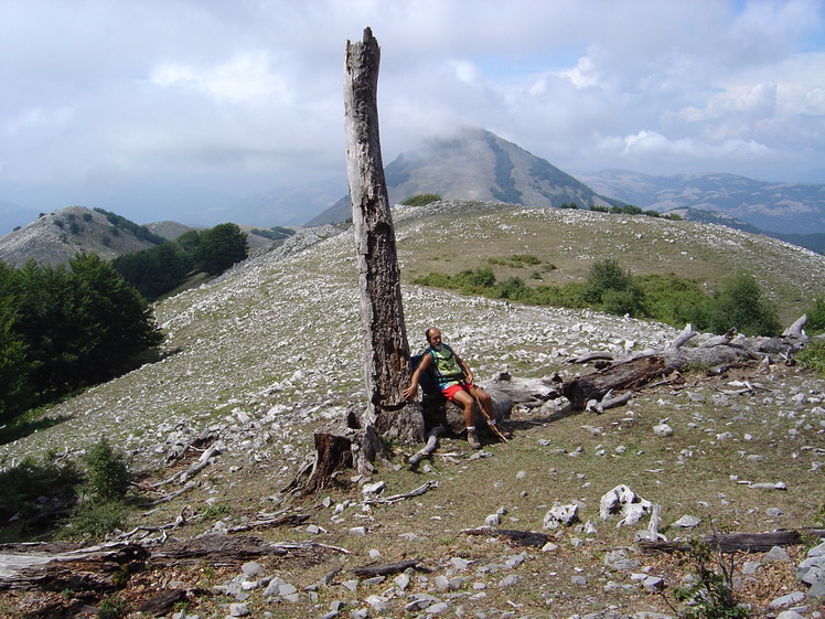 mount cocuzzo, Cervati