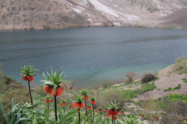 ghahar lake