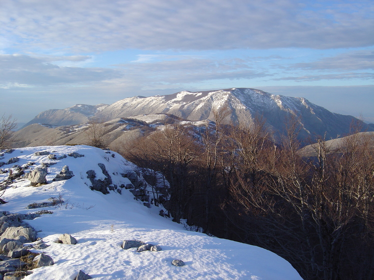 mount mòtola, Cervati