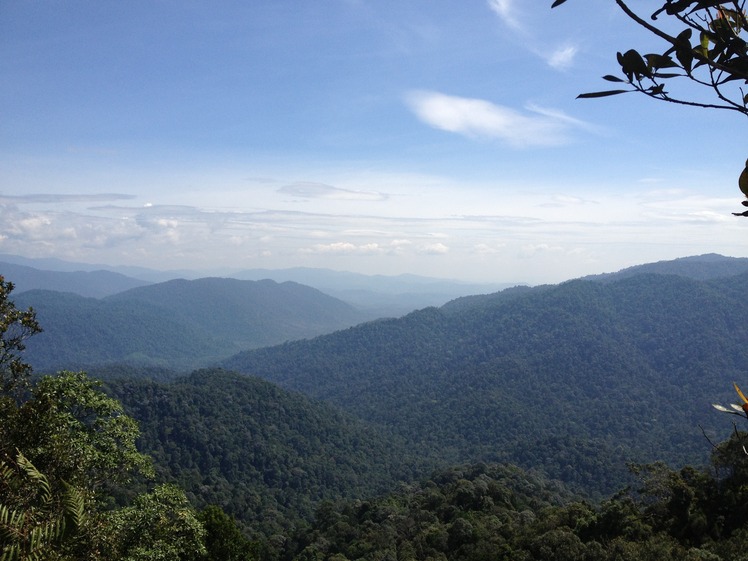 Gunung Angsi weather