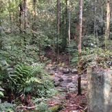 crossing river, Gunung Angsi