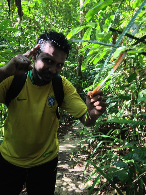 Marking point, Gunung Angsi