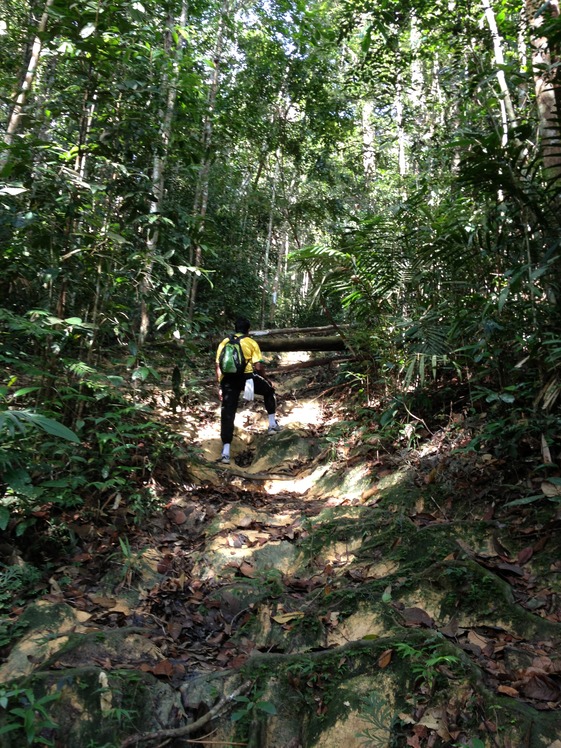 It tough, Gunung Angsi