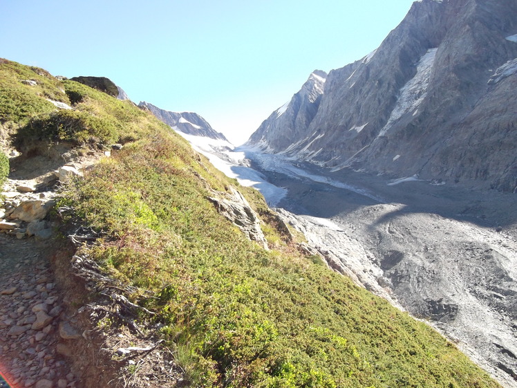 Langgletscher