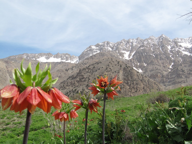 سن بران