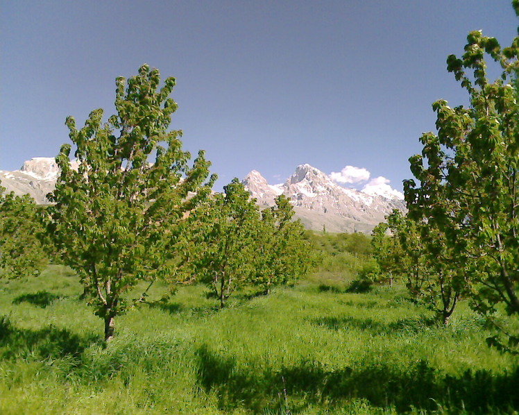 Demirkazık