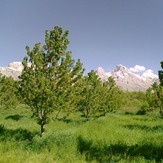 Demirkazık