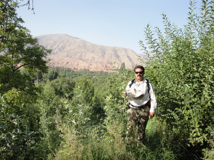 boojan, Mount Binalud