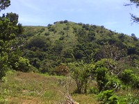 Mt panay front view, Mount Panay photo