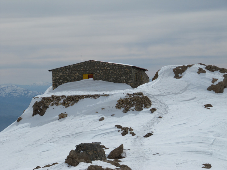 shelter parau, Bisotoon