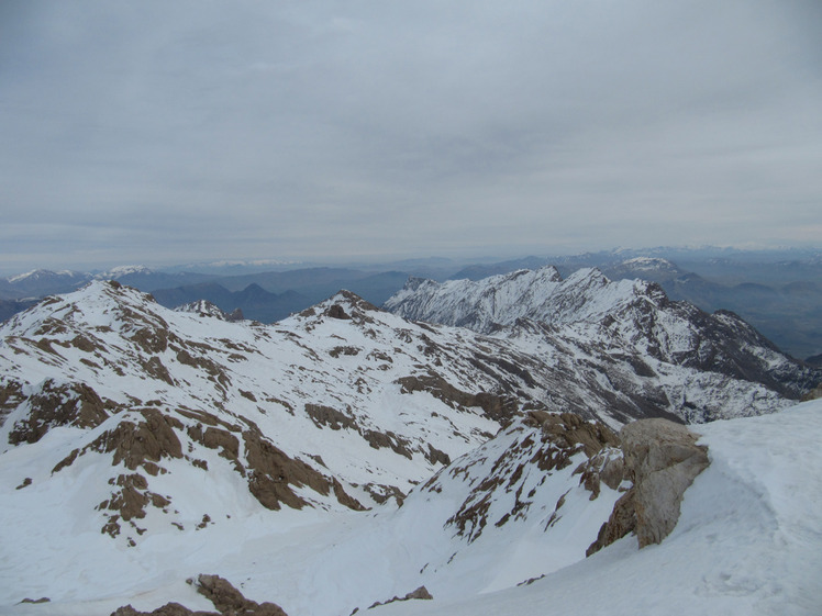 mount parau, Bisotoon