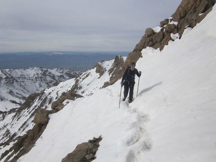 climbing mount parau, Bisotoon