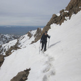 climbing mount parau, Bisotoon