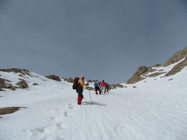 climbing mount parau, Bisotoon