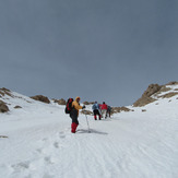 climbing mount parau, Bisotoon