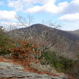 Brasstown Bald from Arkarqua Trail in Winter