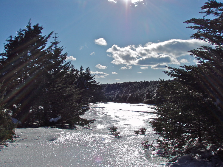 The Roan in Winter, Roan High Knob