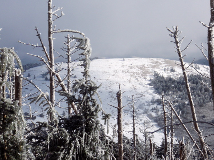 Round Bald from Roan High Knob