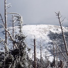 Round Bald from Roan High Knob