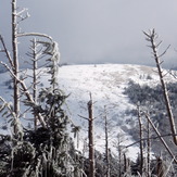 Round Bald from Roan High Knob