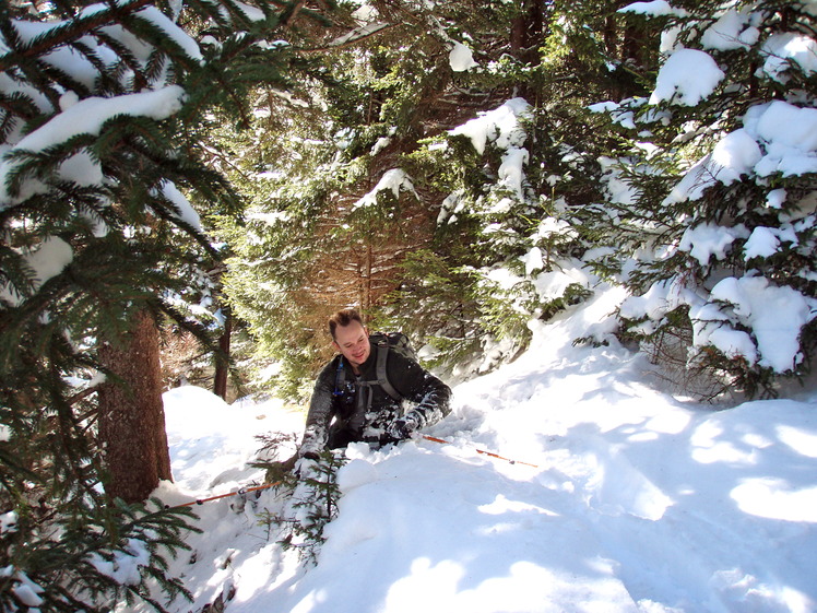 Mount Mitchell Trail in Snow, Mount Mitchell (North Carolina)