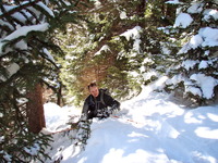 Mount Mitchell Trail in Snow, Mount Mitchell (North Carolina) photo