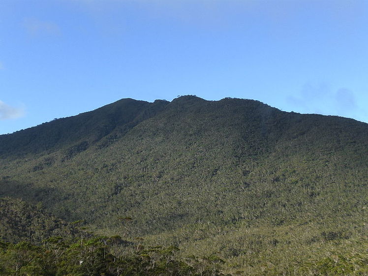 Mt. Hamiguitan, Mount Hamiguitan