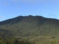 Mt. Hamiguitan, Mount Hamiguitan photo