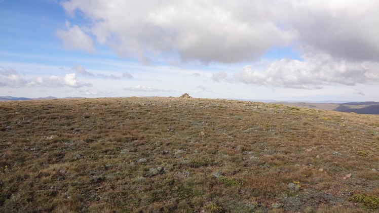 Injisuthi Dome, Njesuthi