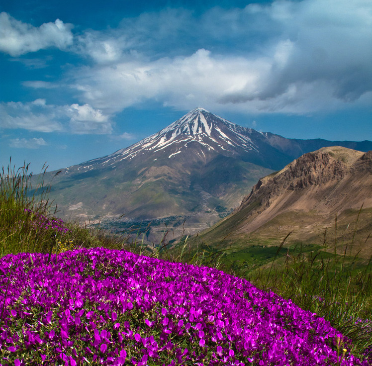 محمود ترابی