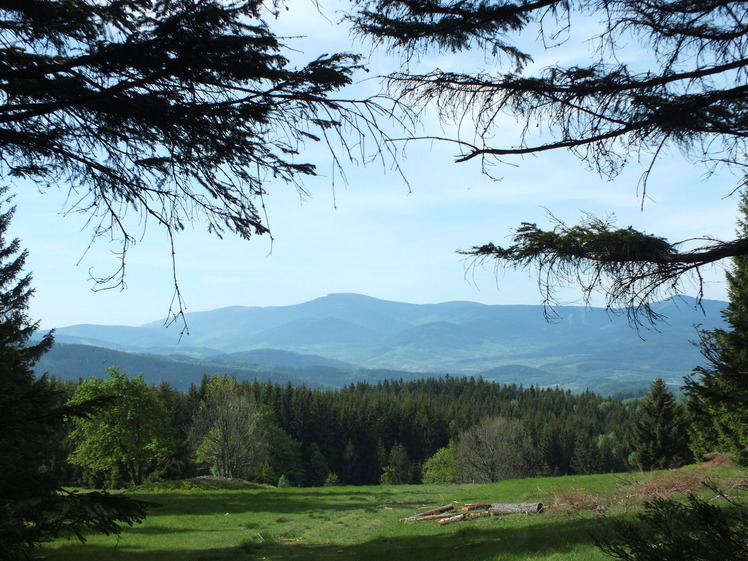 Śnieżnik, Králický Sněžník