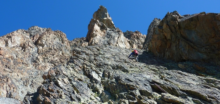 Aiguille du plat de la selle lg 24 "Les sources du silence"  malain