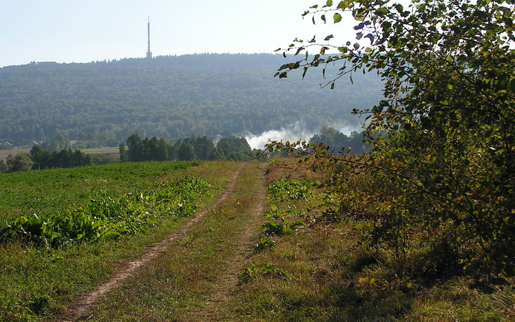 Łysa Góra weather