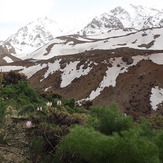 esnaasharan-sialan group, سن بران