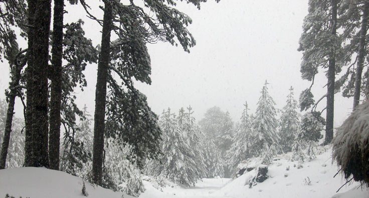 Nevada 2010, Nevado de Colima