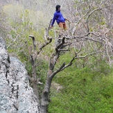 Ali   Saeidi   NeghabeKoohestaN, Kolakchal