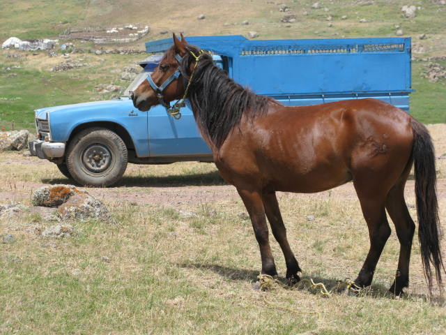 naser ramezani :  sabalan, سبلان