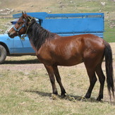 naser ramezani :  sabalan, سبلان