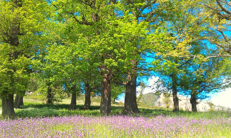 Dorfak mountain