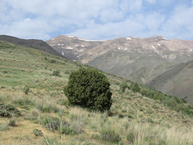 Binalud, Mount Binalud