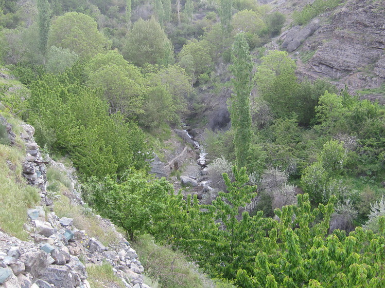 Parson peak, Damavand (دماوند)