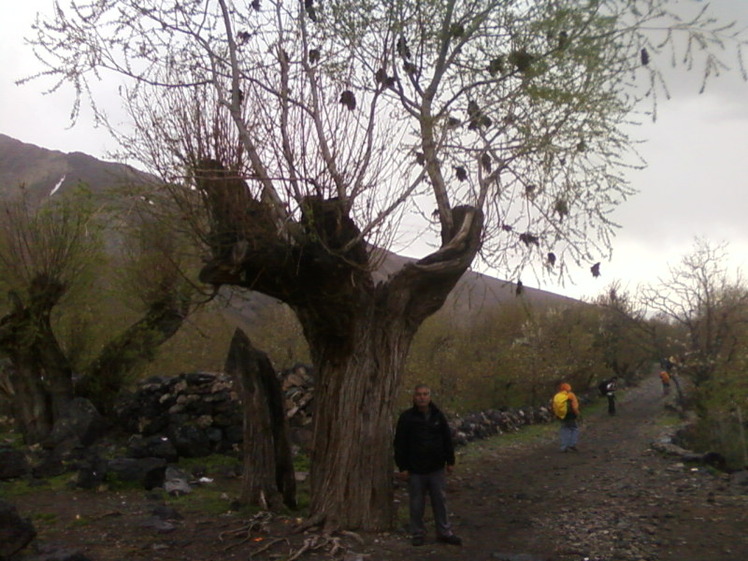 Saka peak, Damavand (دماوند)