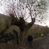 Saka peak, Damavand (دماوند)