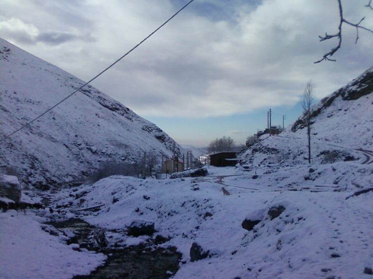 Dasht-e- havij, Damavand (دماوند)