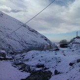 Dasht-e- havij, Damavand (دماوند)