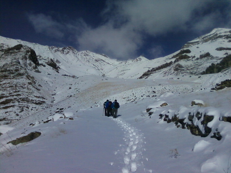 Dasht-e- havij, Damavand (دماوند)