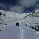 Dasht-e- havij, Damavand (دماوند)